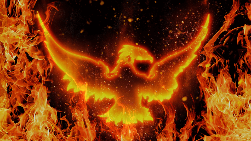 Phoenix aus der Asche - Männertrauer